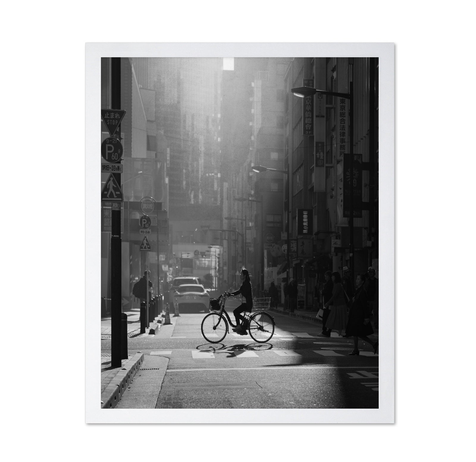 City Bicycle Crossing