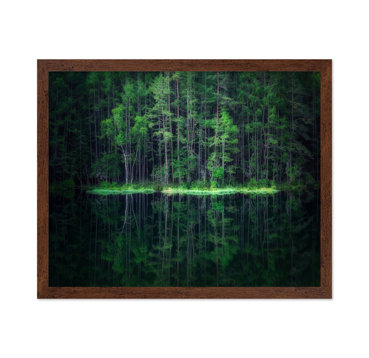 Forest Reflection Lake