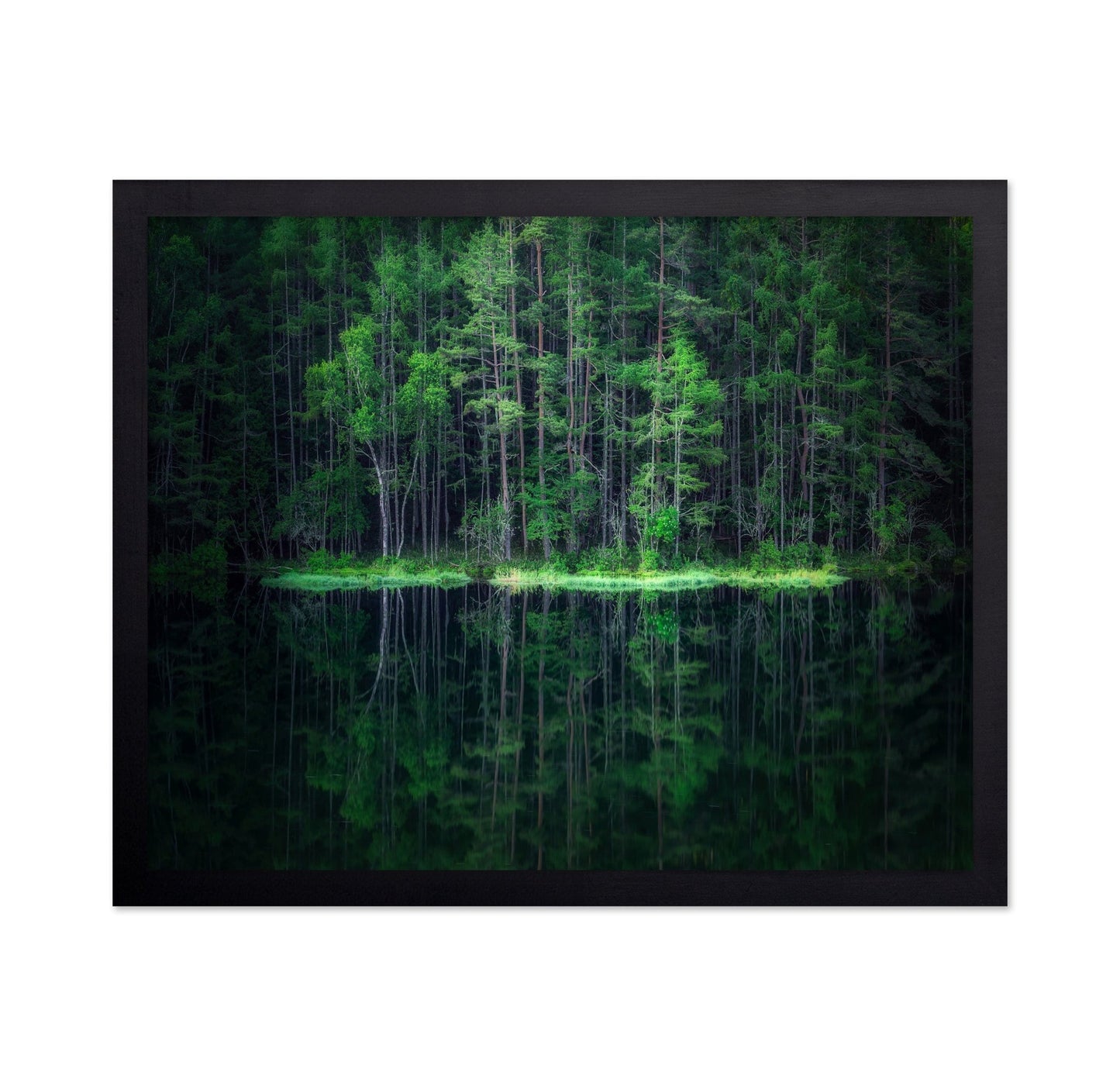 Forest Reflection Lake