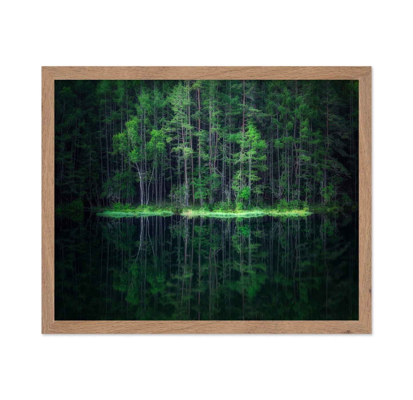 Forest Reflection Lake