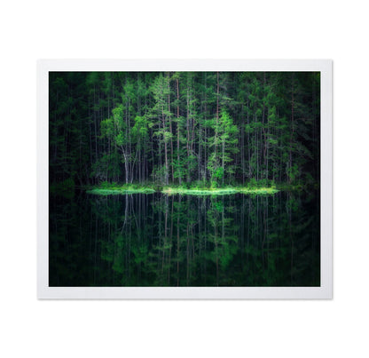 Forest Reflection Lake