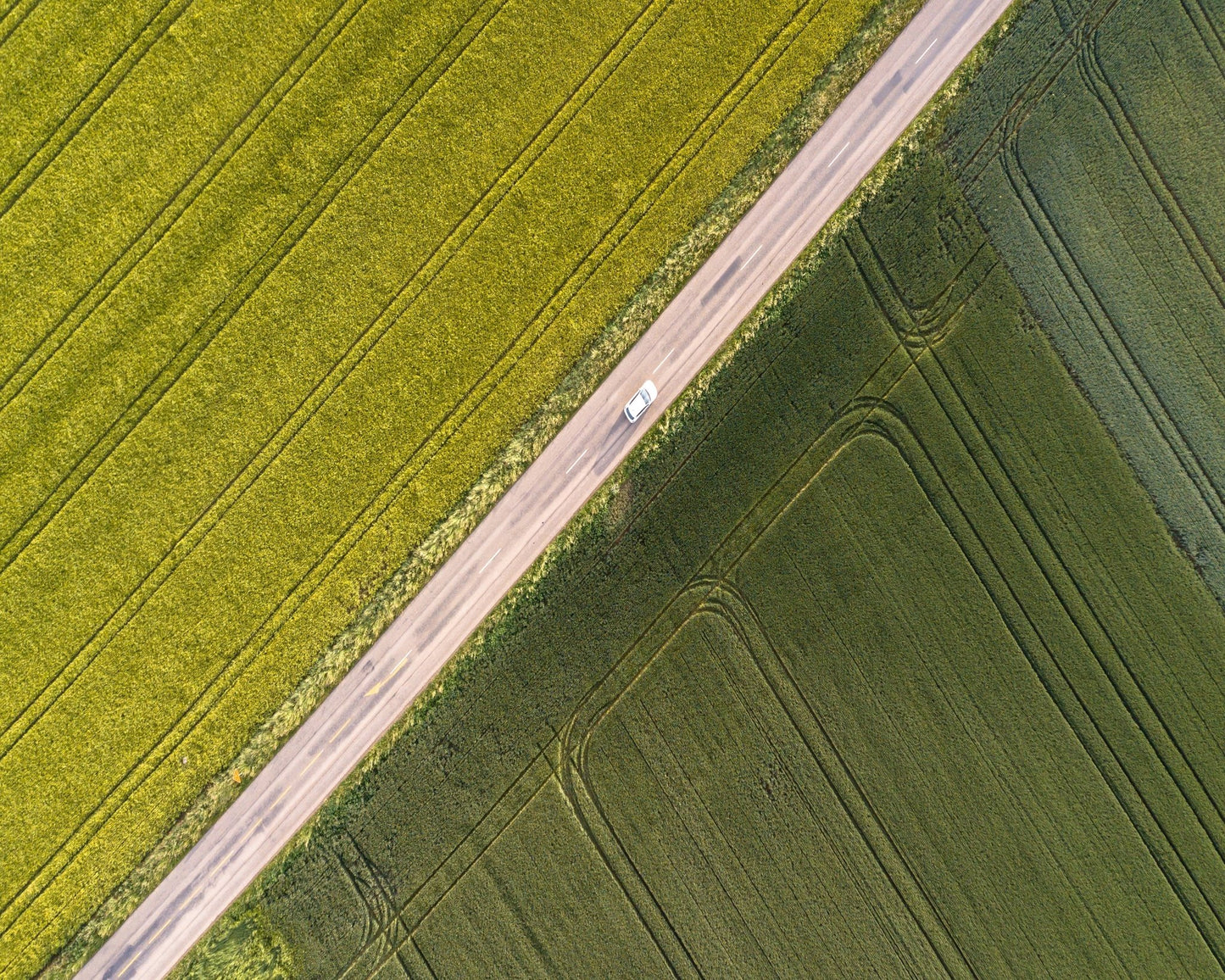 Divided Field Road