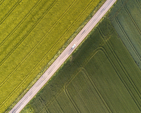 Divided Field Road