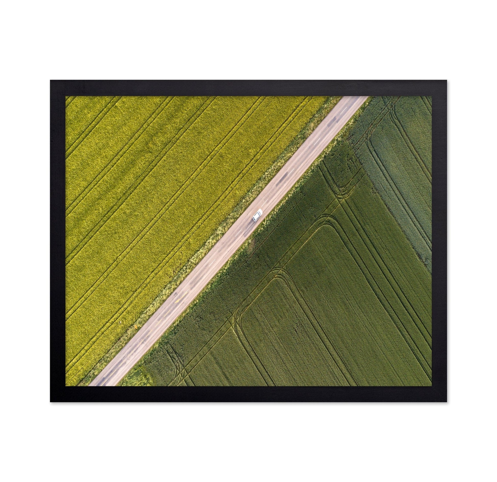 Divided Field Road