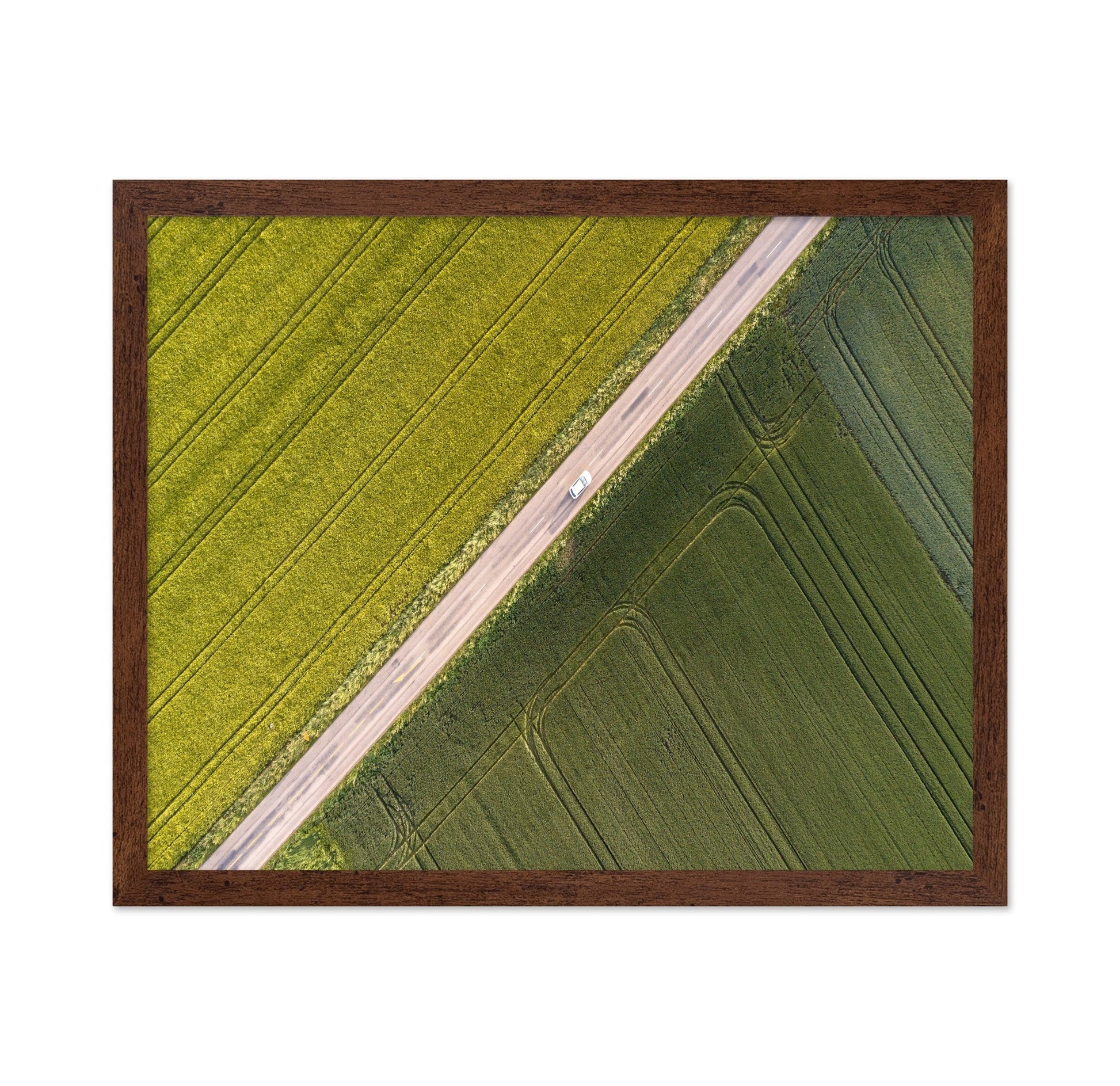 Divided Field Road
