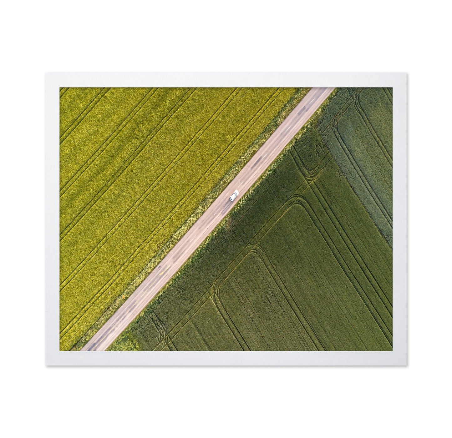 Divided Field Road