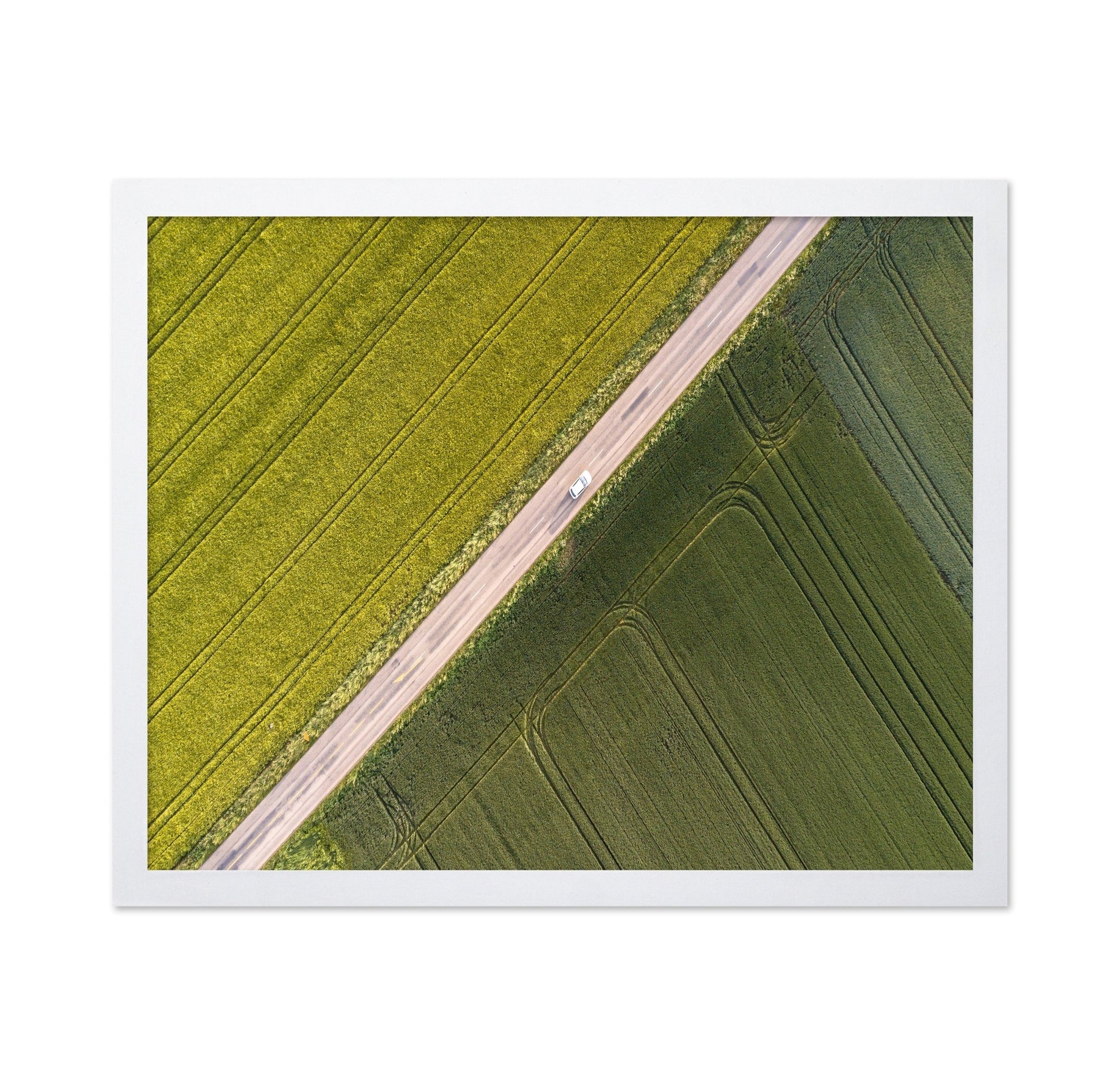 Divided Field Road
