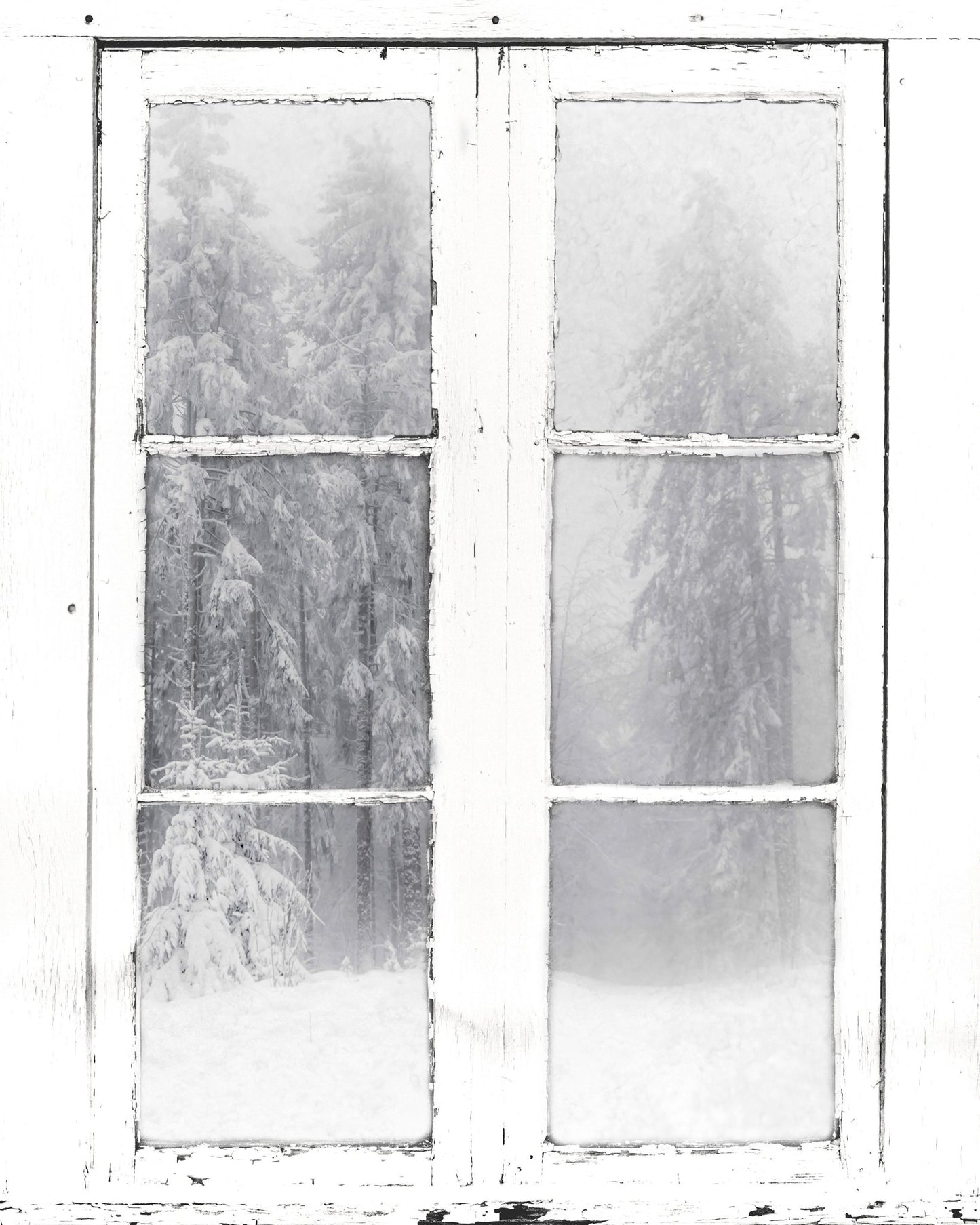 Snow Window View