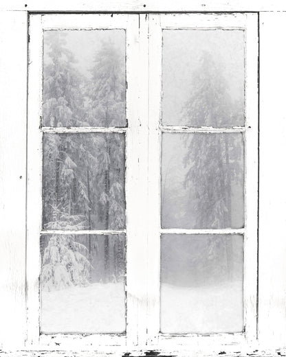 Snow Window View
