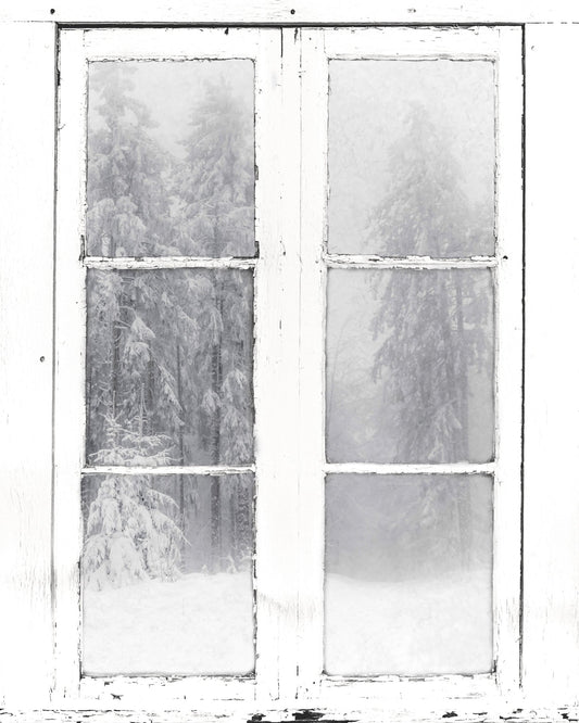Snow Window View