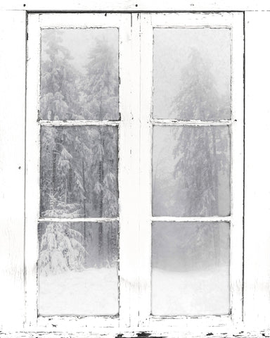 Snow Window View