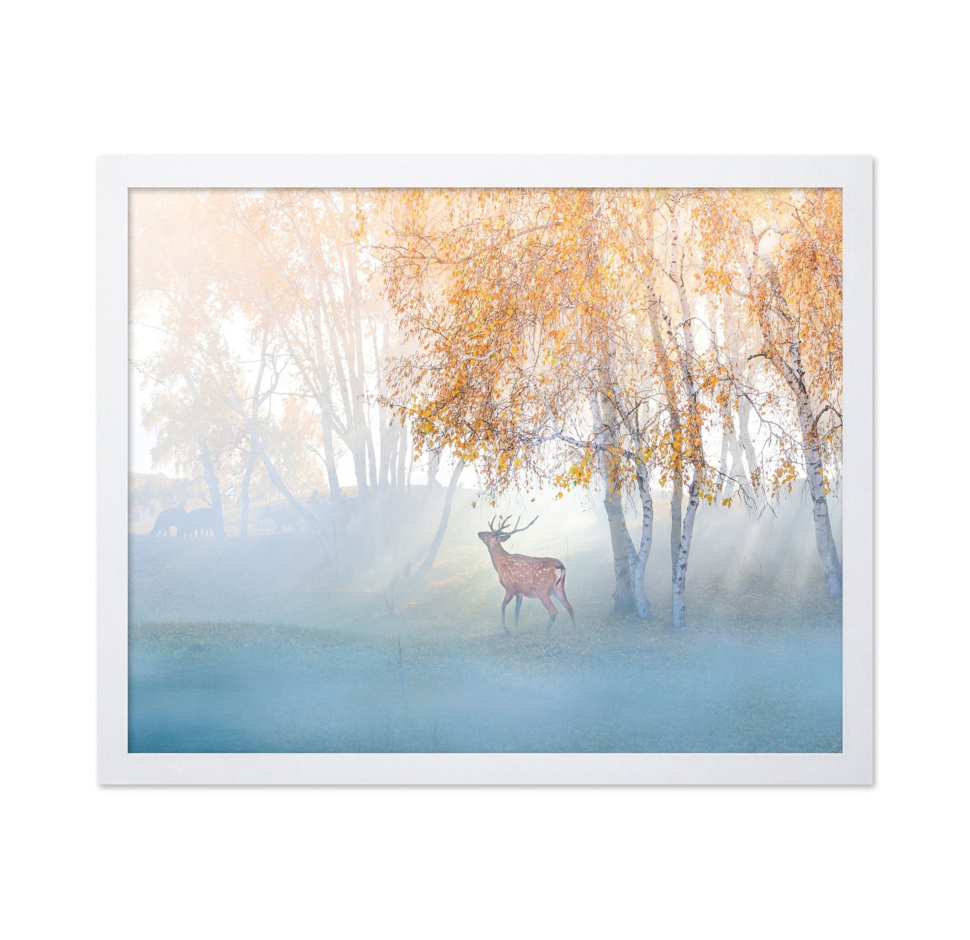 Misty Deer Forest