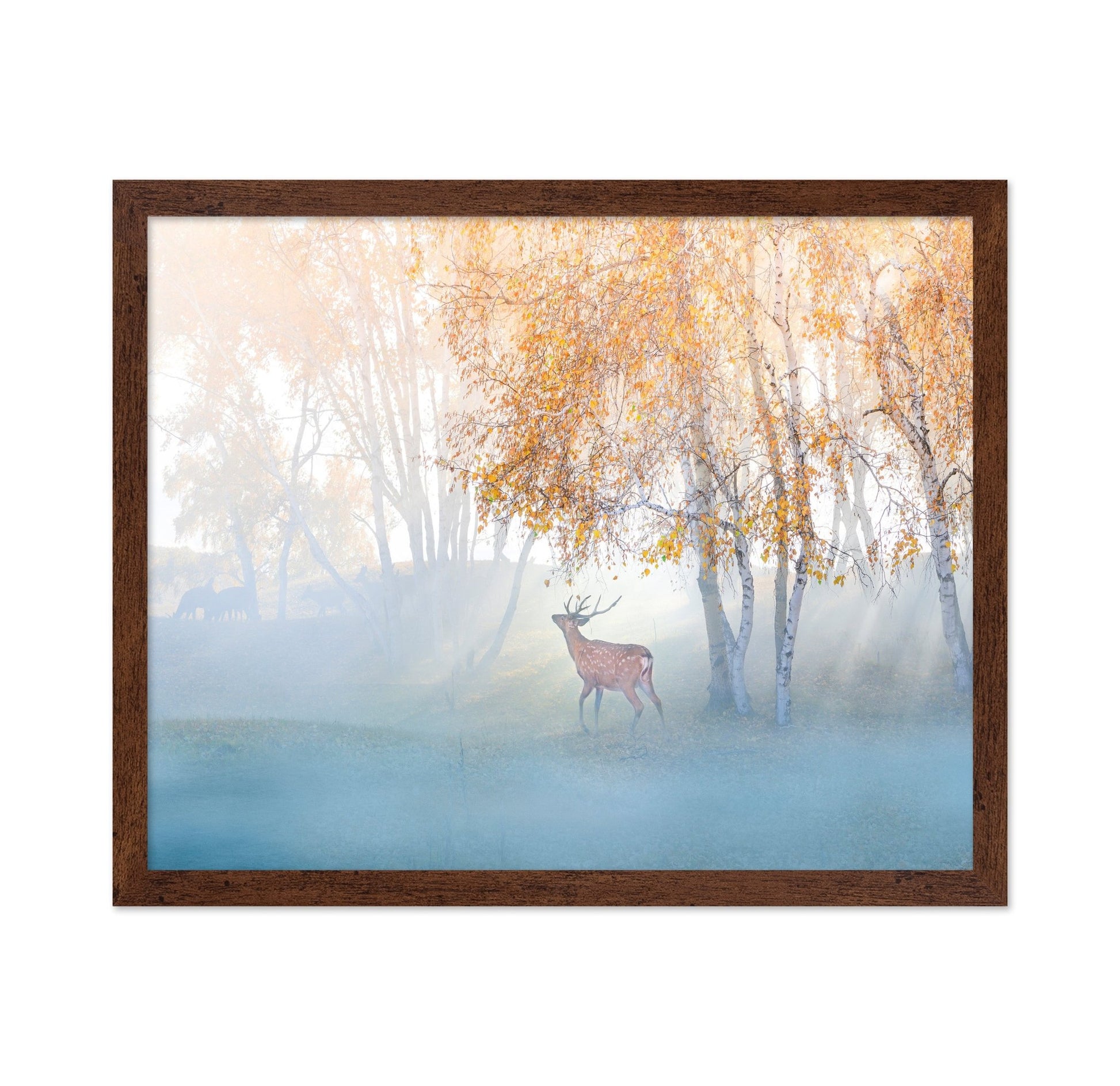Misty Deer Forest