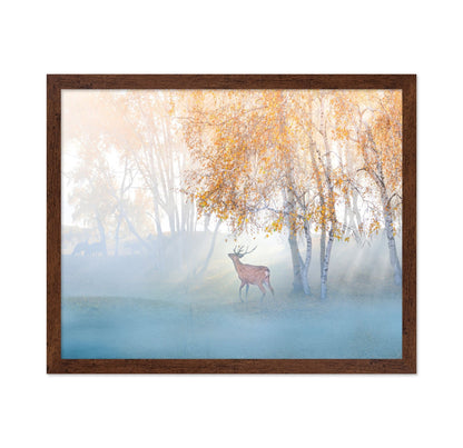 Misty Deer Forest