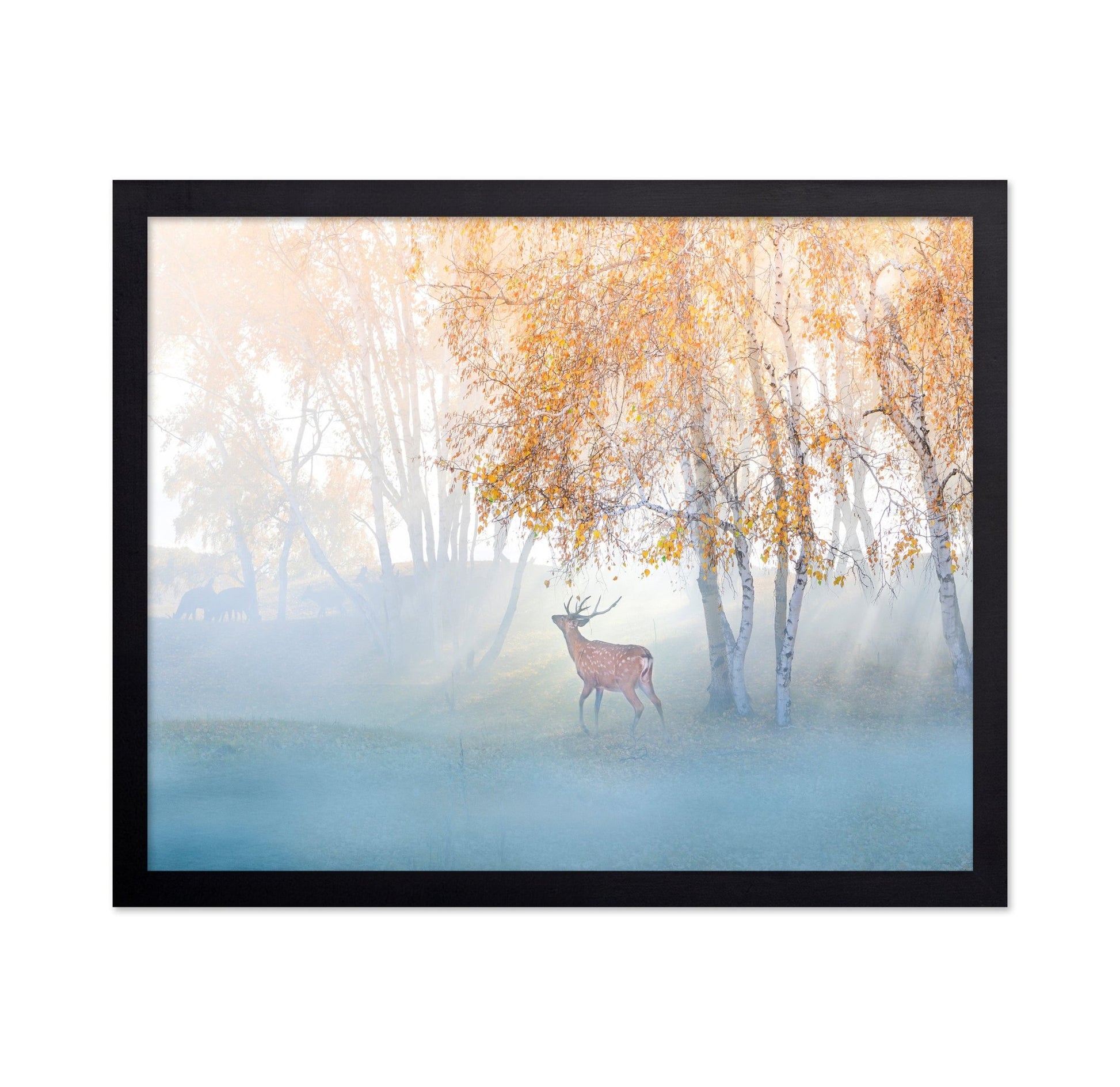 Misty Deer Forest