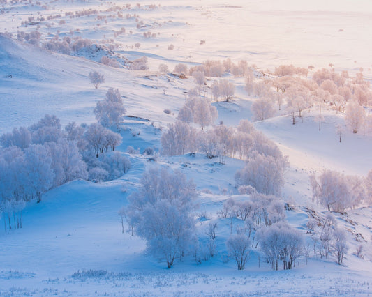 Winter Pastel Valley
