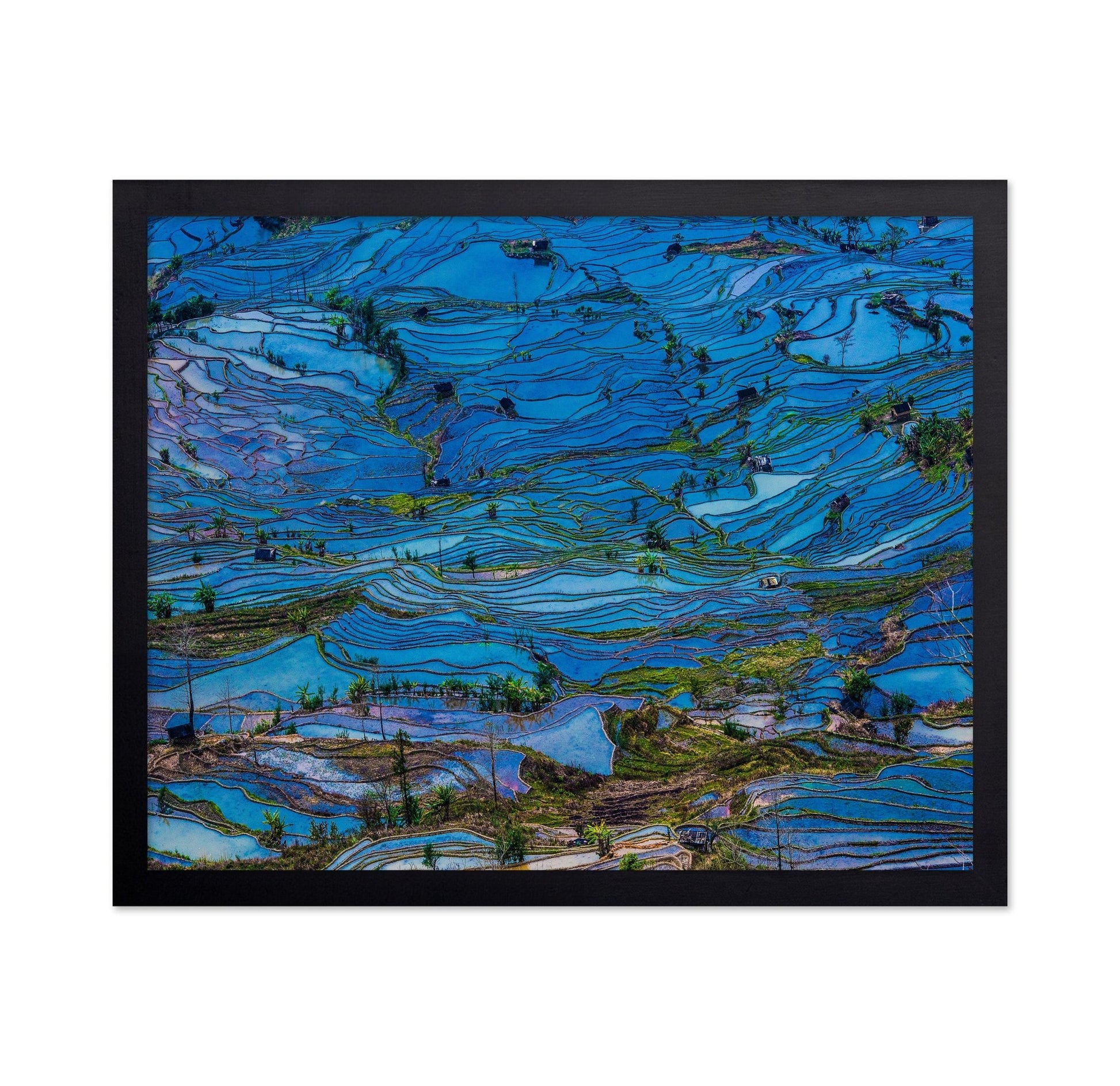 Blue Terrace Fields