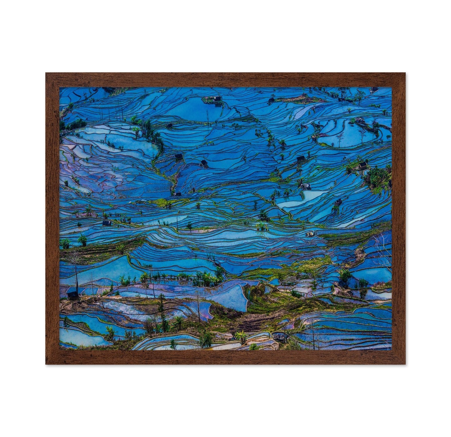 Blue Terrace Fields