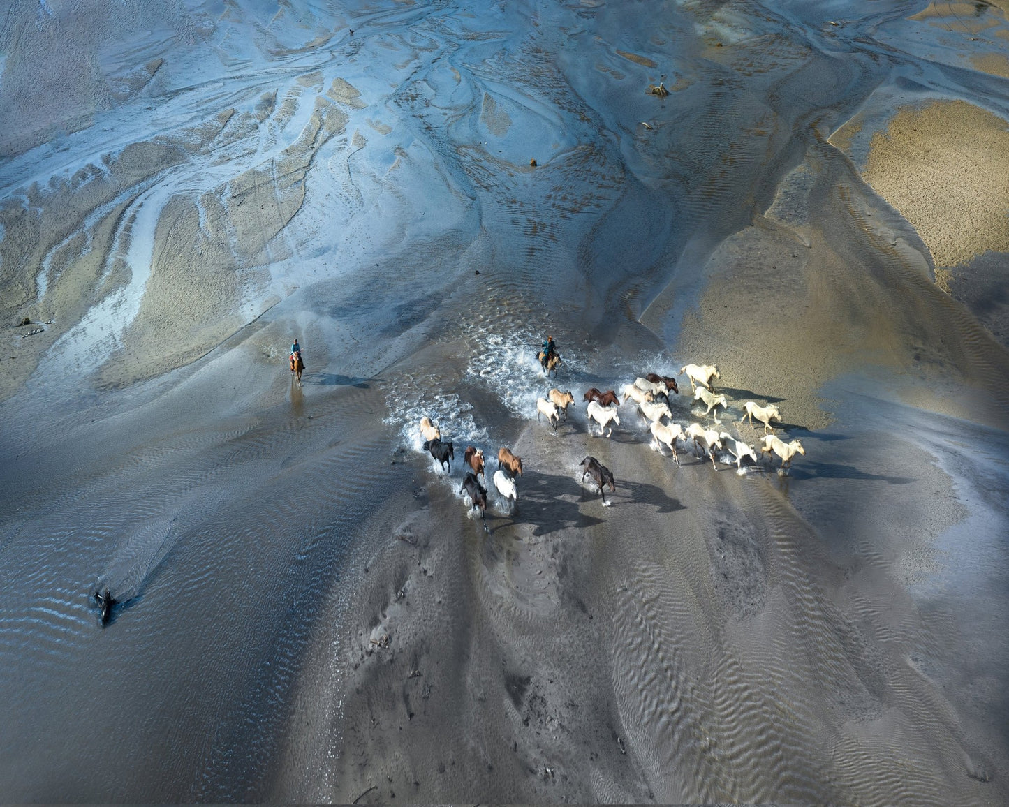 Wild Horses Crossing