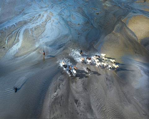 Wild Horses Crossing