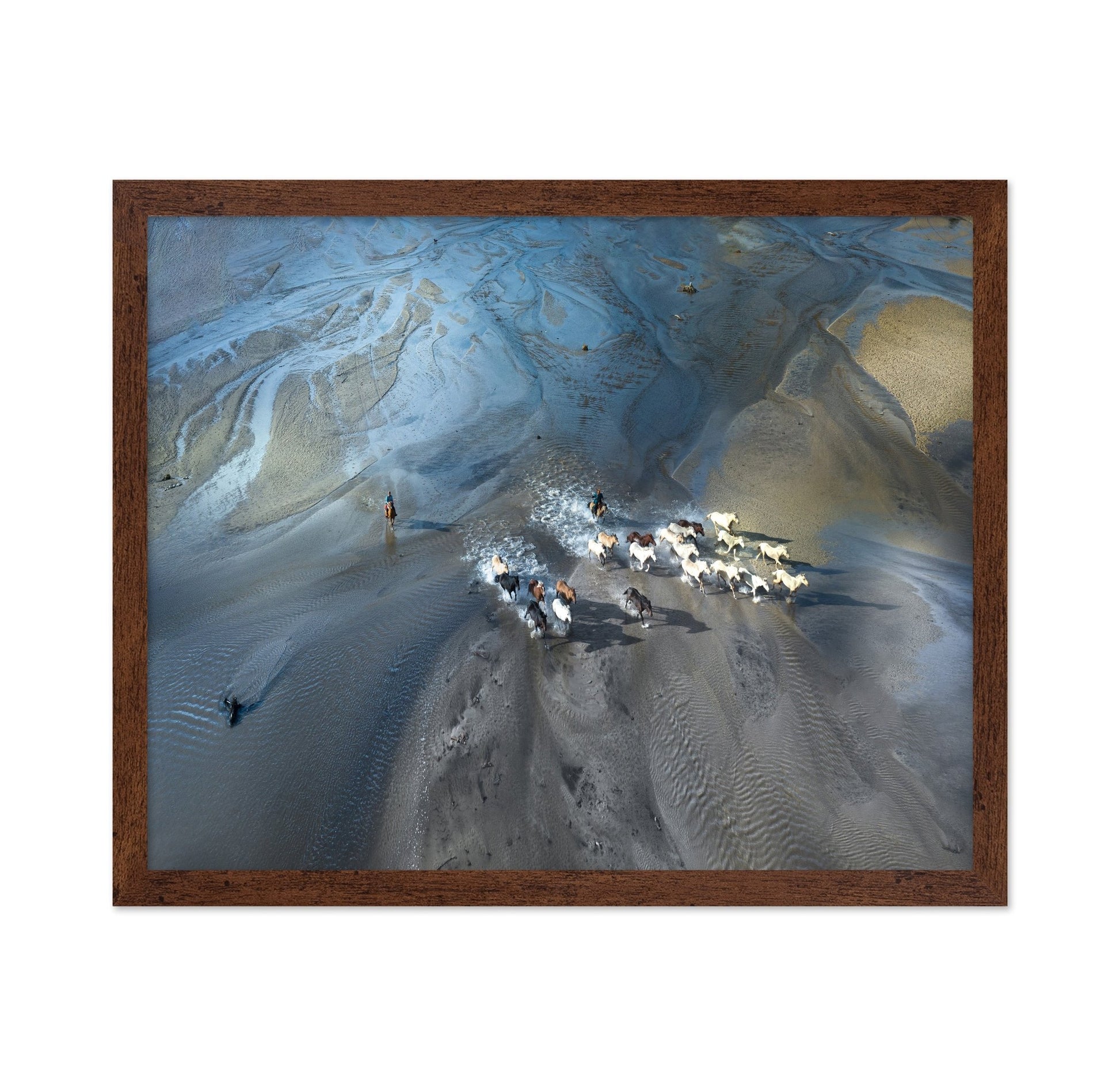 Wild Horses Crossing