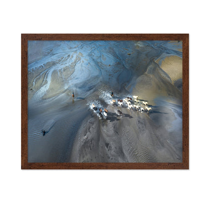 Wild Horses Crossing