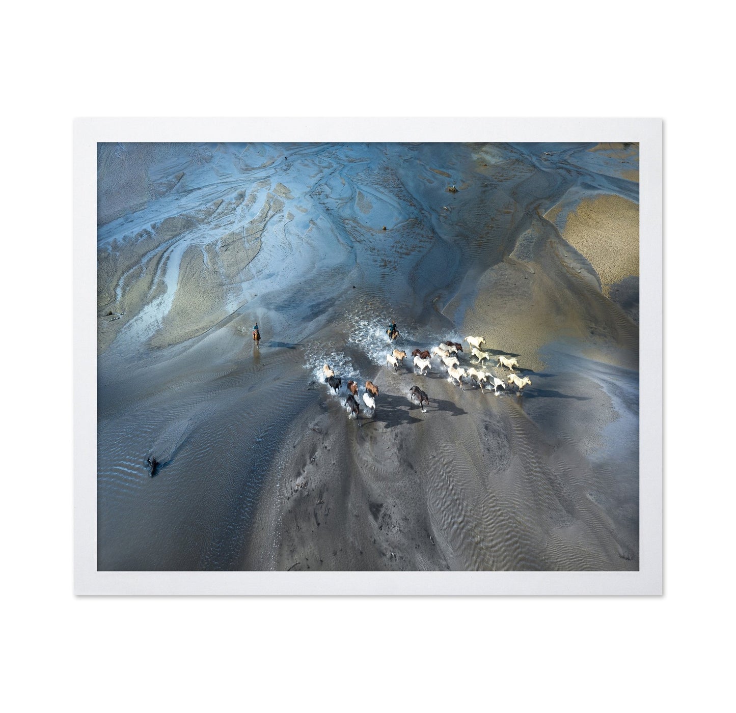 Wild Horses Crossing