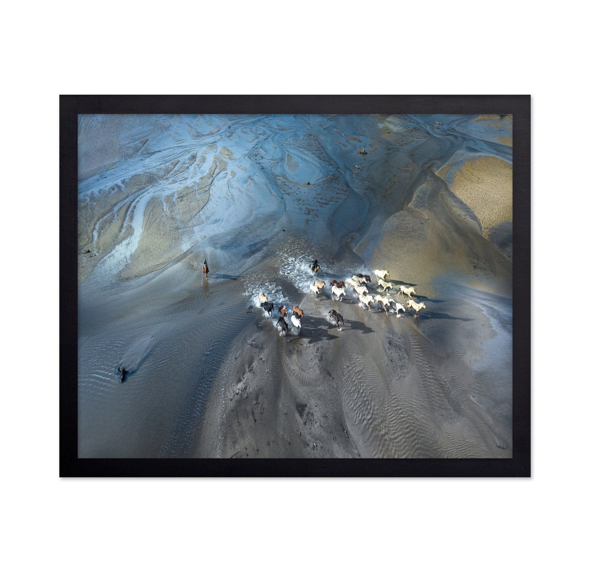 Wild Horses Crossing