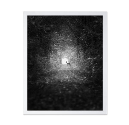 Forest Light Encounter