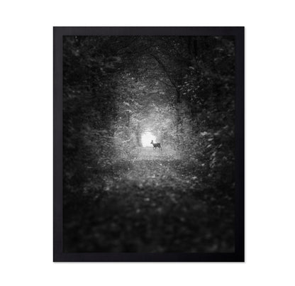 Forest Light Encounter