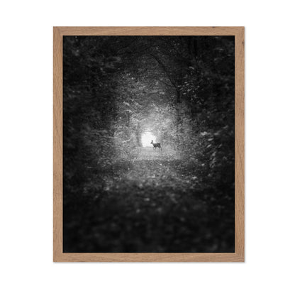 Forest Light Encounter