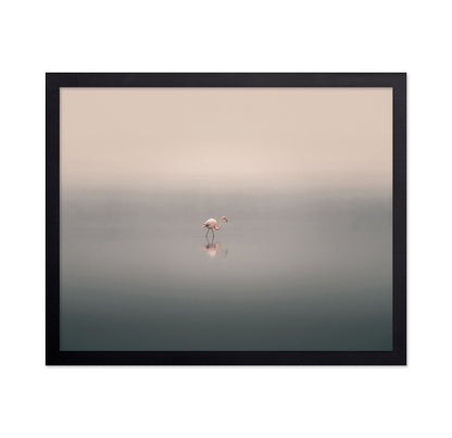 Solitary Flamingo