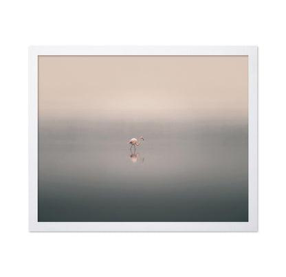 Solitary Flamingo