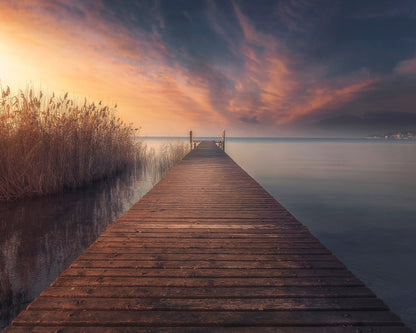 Golden Pier Horizon