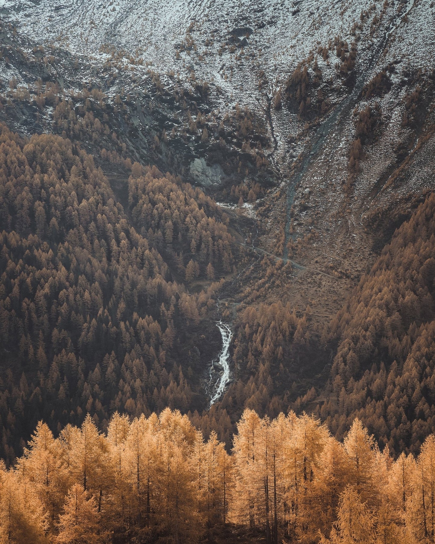 Autumn Valley Stream