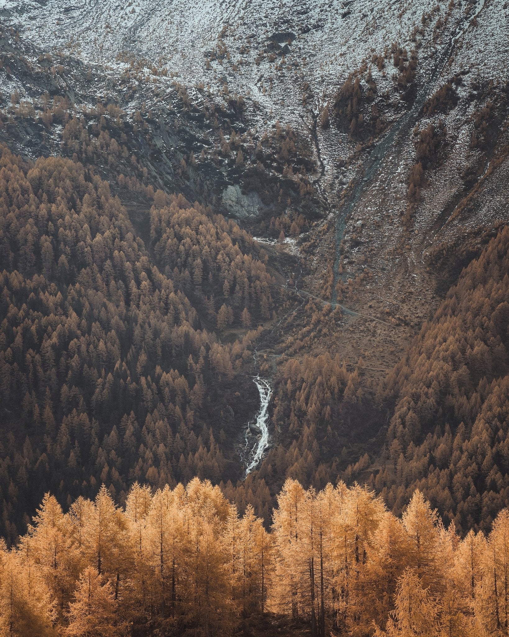 Autumn Valley Stream