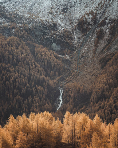 Autumn Valley Stream