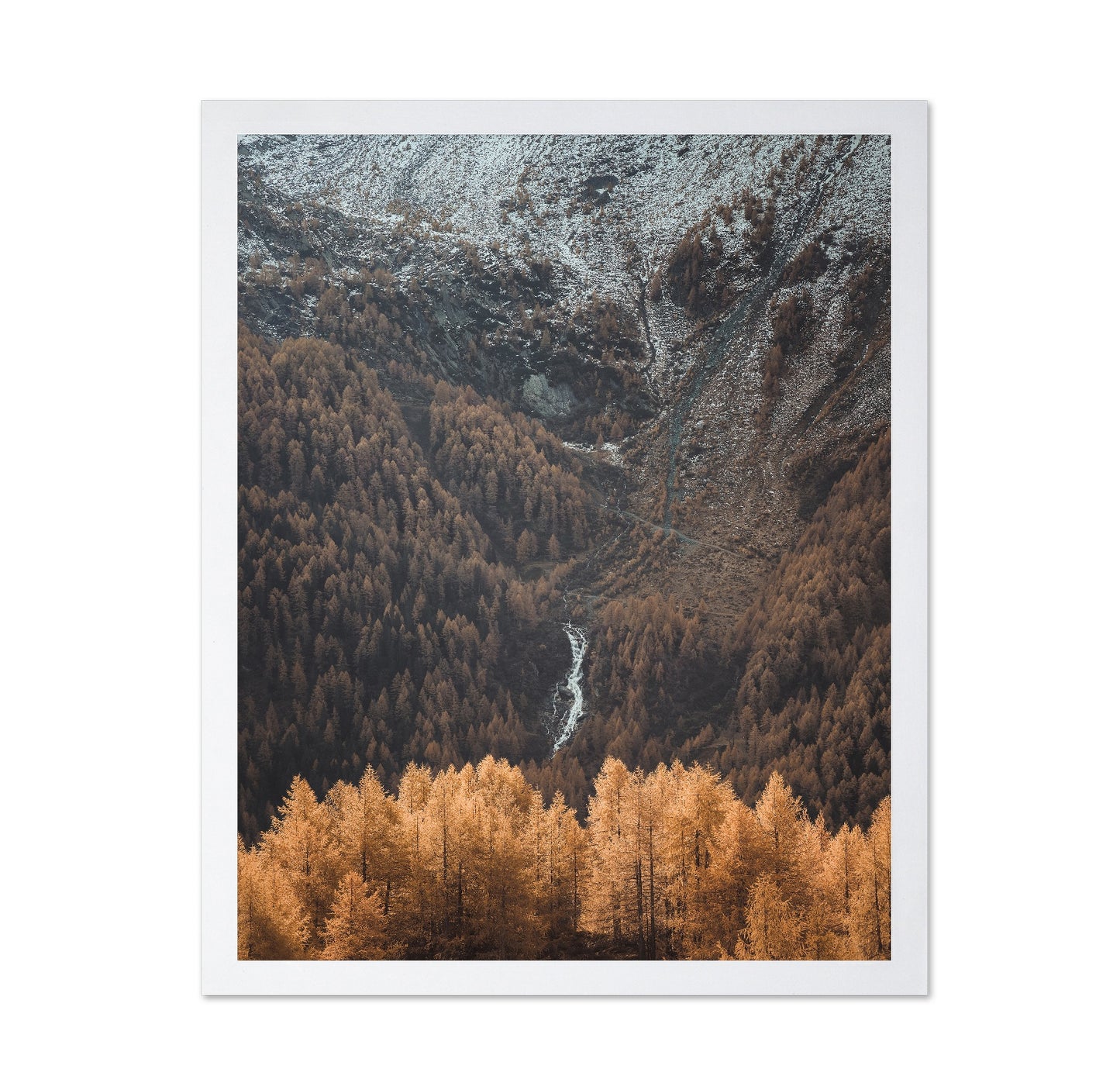 Autumn Valley Stream
