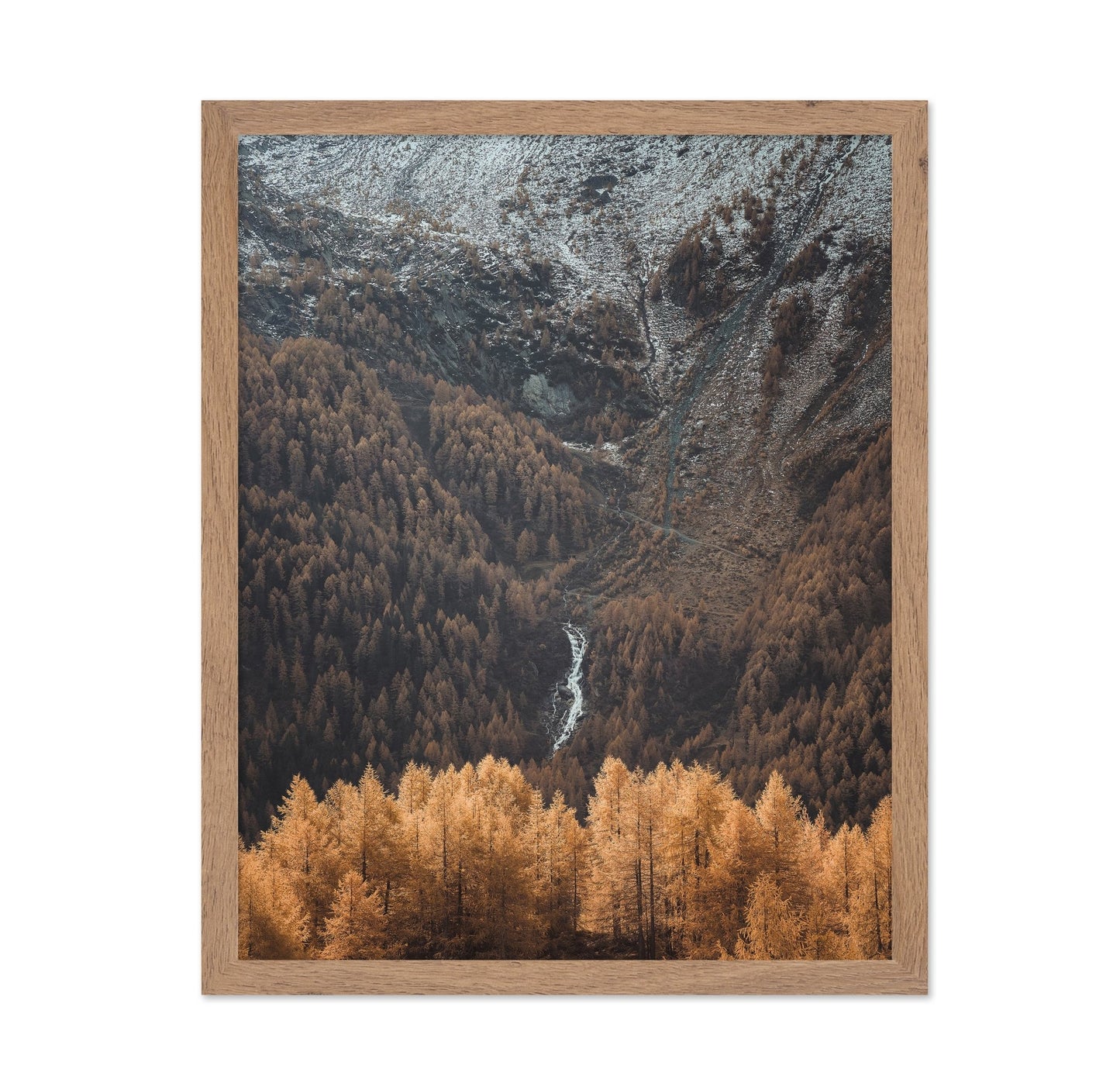 Autumn Valley Stream