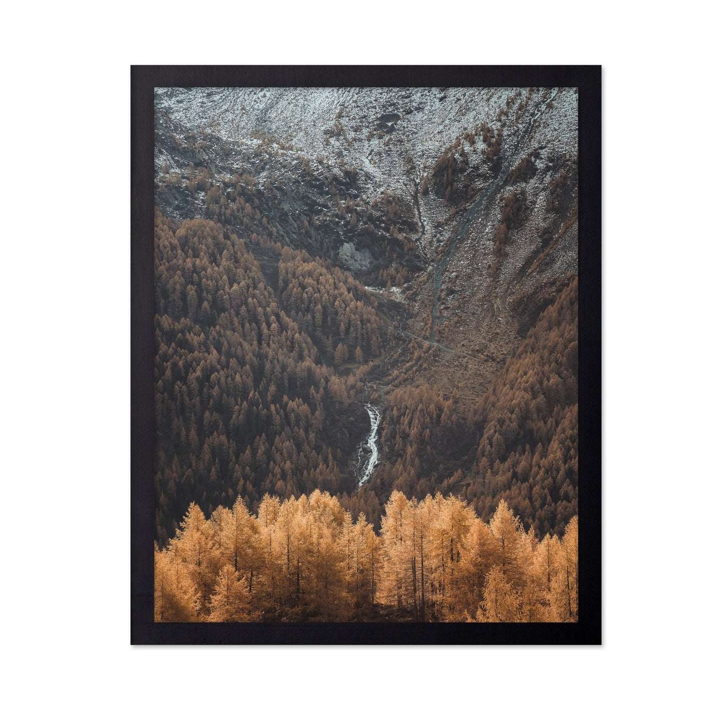 Autumn Valley Stream