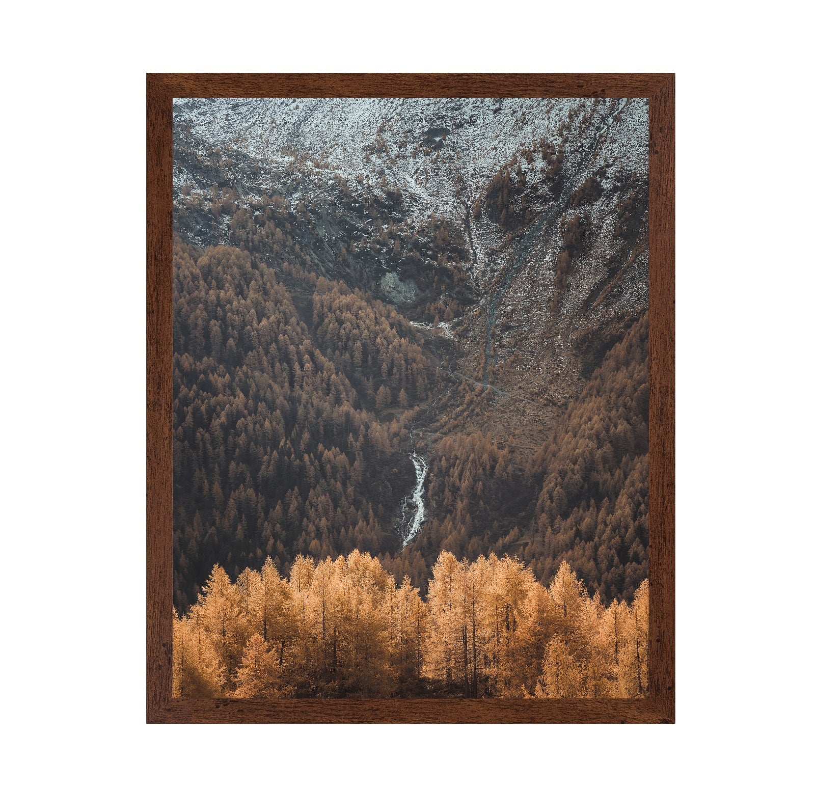 Autumn Valley Stream