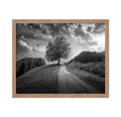Lone Tree Path