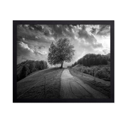 Lone Tree Path