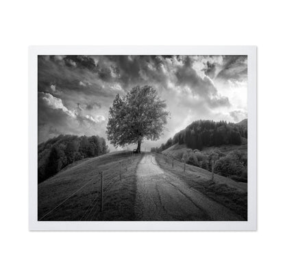 Lone Tree Path