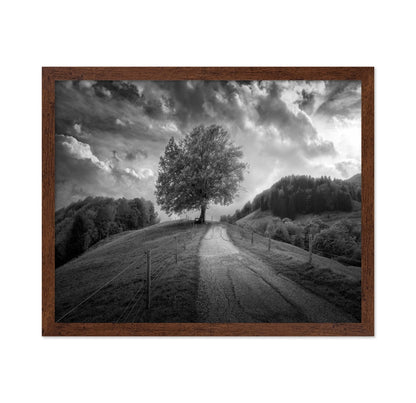 Lone Tree Path