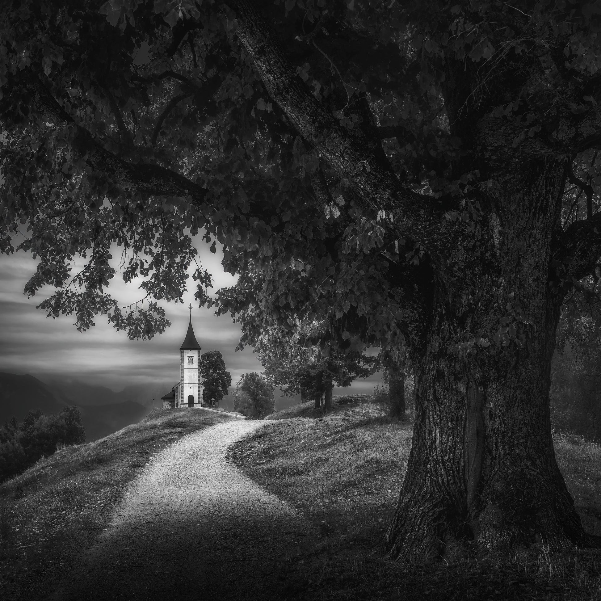 Chapel Under Tree