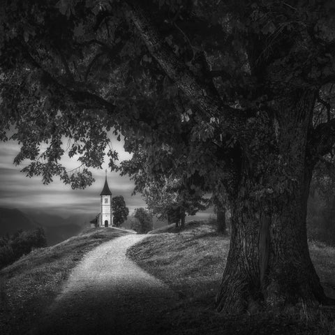 Chapel Under Tree