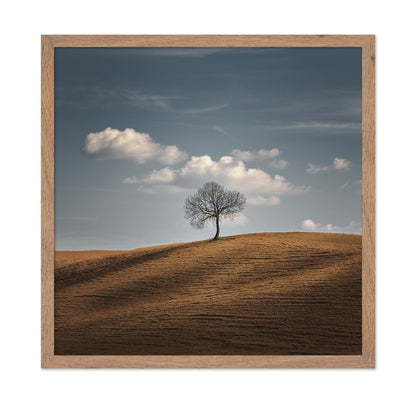 Lone Tree Horizon No2