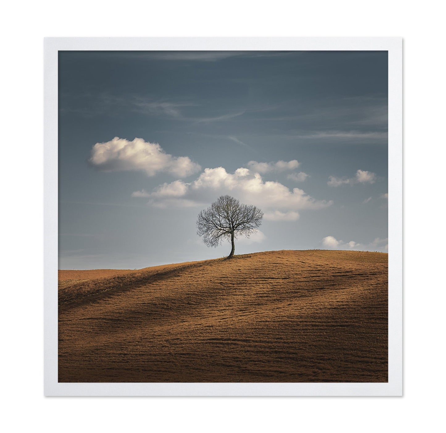 Lone Tree Horizon No2