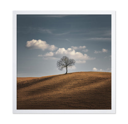 Lone Tree Horizon No2